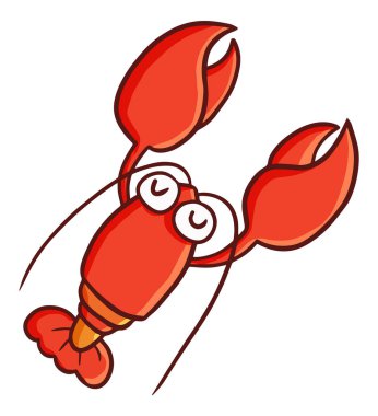 Beyaz arka planı olan bir ıstakozun vektörü.