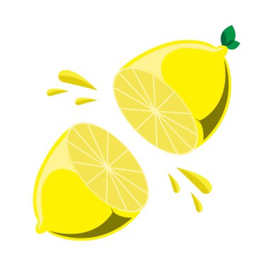 Kesik bir limonun vektör çizimi