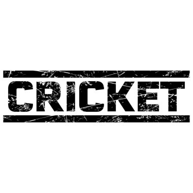 Gri arkaplana karşı iki siyah çizgi arasında bir metin 