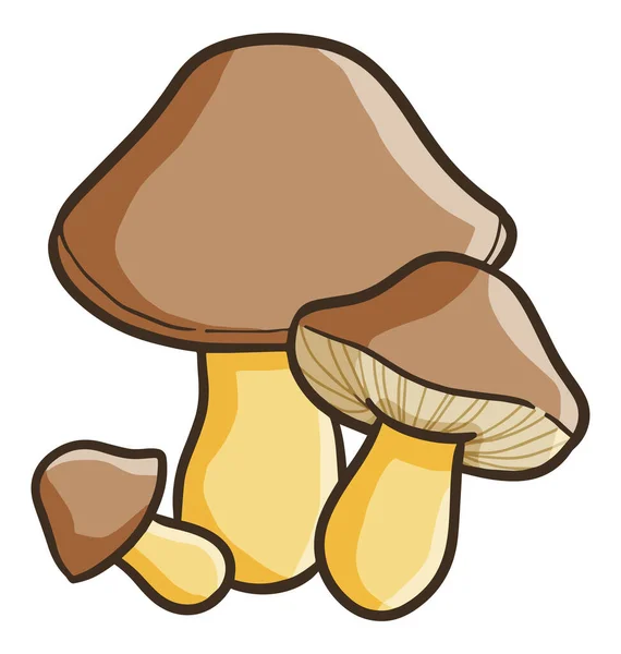 Vetor Cogumelos Marrons Com Fundo Branco —  Vetores de Stock
