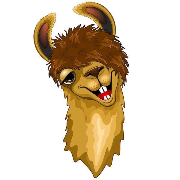 Vektorová Ilustrace Happy Llama Hipster Bílém Pozadí — Stockový vektor