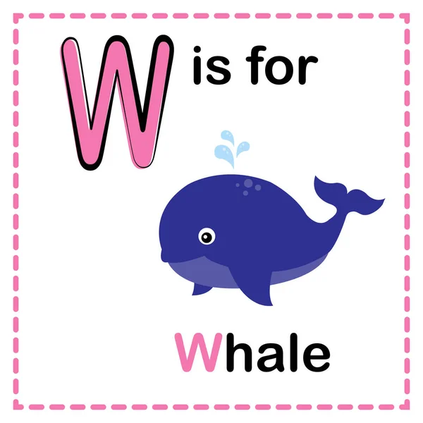 Alphabet Whale Image Alphabet Flash Card — Stock Vector