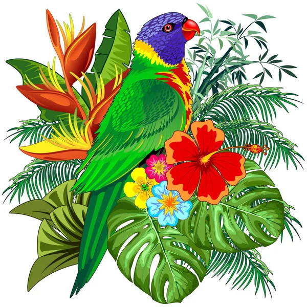 Vektorový Ilustrační Design Duhového Lorikeet Exotického Barevného Papouška Ptáka Bílém — Stockový vektor