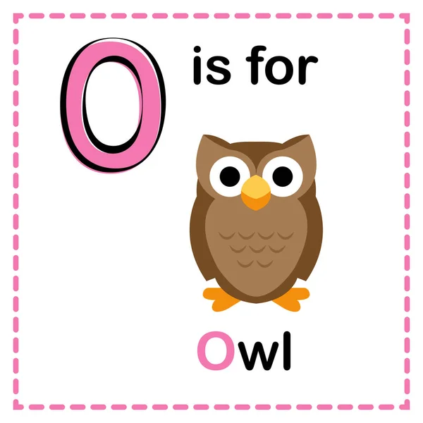 Alphabet Owl Image Alphabet Flash Card — Stock Vector