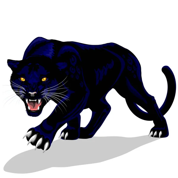 Vector Black Panther White Background — Stock Vector