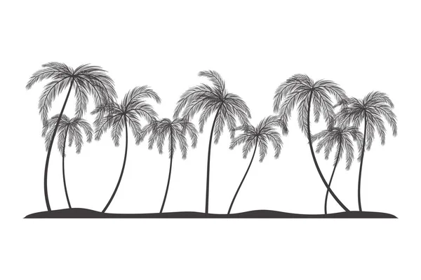 Пальмы Векторном Рисунке Пляжного Силуэта — стоковый вектор