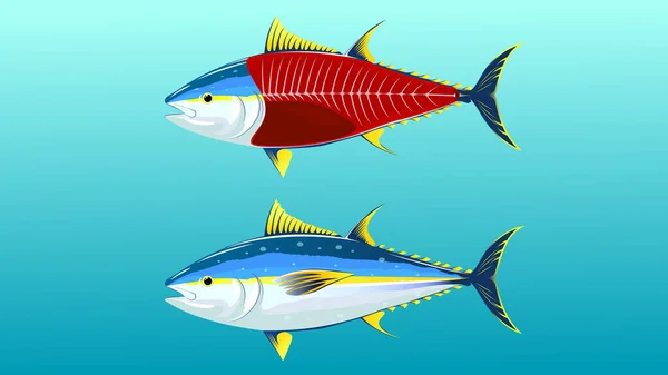 青い背景を持つ2種の魚 キハダマグロ の漫画です — ストックベクタ