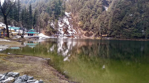 Belo Tiro Lago Uma Floresta Durante Dia — Fotografia de Stock