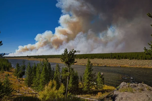 Vzdálený Pohled Požár Yellowstone National Park Wyoming Spojené Státy — Stock fotografie