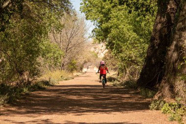 Peavine Patikası 'nda bisiklet süren bir çocuk İlkbaharda Arizona Prescott' ta ağaçların altında