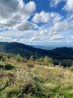 Almanya 'da bulutlu mavi gökyüzünün altında Kara Orman' ın güzel bir manzarası var.