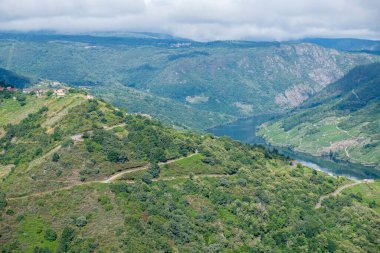 Bulutlu bir günde Ribeira Sacra 'daki Sil Nehri Kanyonu' nun manzarası. Galiçya, İspanya.