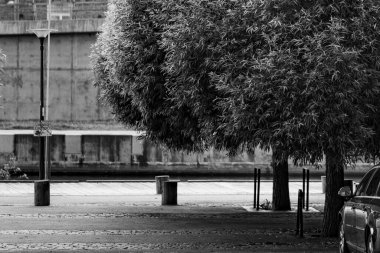 Gri tonda bir tren istasyonunda güzel bir ağaç görüntüsü.