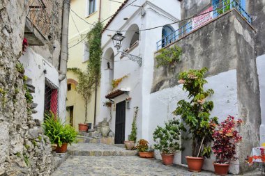 İtalya 'nın Calabria bölgesindeki Scalea köyündeki eski evler arasında dar bir sokağın güzel bir görüntüsü.
