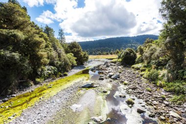 Güney Adası, Yeni Zelanda 'daki Matheson Gölü' ne giden kayalık bir patika.