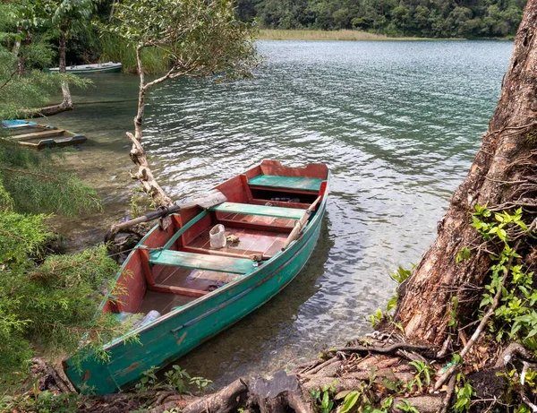 森に囲まれた湖の海岸にある古い木製のボート — ストック写真