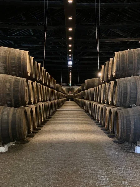 Tiro Vertical Barris Madeira Cheios Vinho Numa Vinha Portugal — Fotografia de Stock