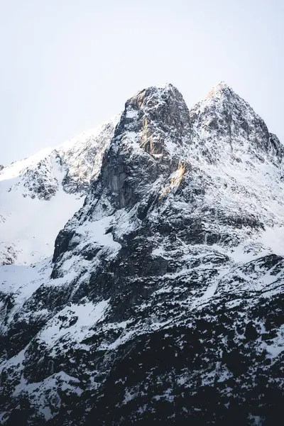 Eine Vertikale Aufnahme Des Schneebedeckten Berggipfels Winter — Stockfoto