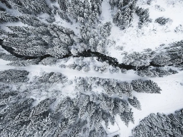 Вид Воздуха Снежные Сосны Лесу — стоковое фото