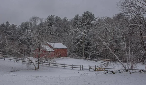 Small Rural House Surrounded Snowy Trees Burrillville Usa — Stock Photo, Image