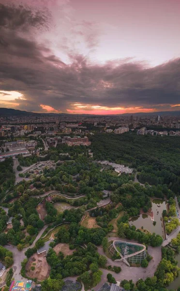 Sofia Bulgaria Aerial Increíble Puesta Sol Sobre Zoológico Panorama Vertical — Foto de Stock