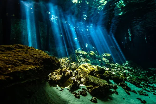 Bela Natureza Oceano Subaquático — Fotografia de Stock