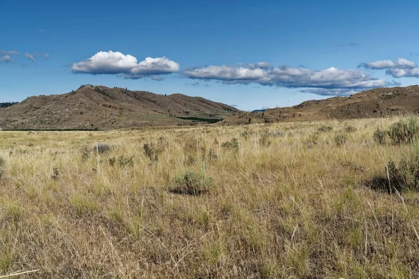 Paesaggio Rurale Con Campi Gialli Colline Sullo Sfondo — Foto Stock