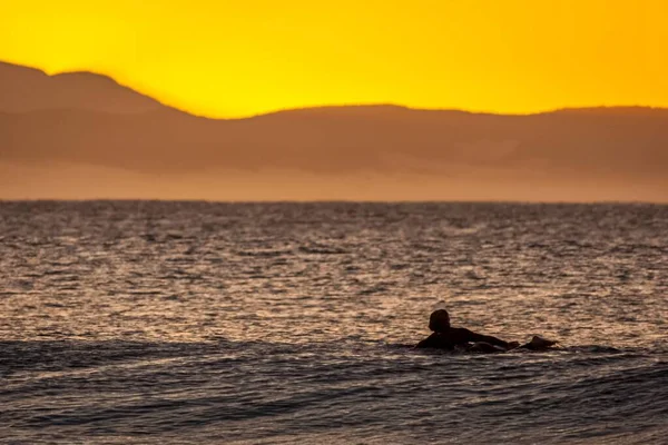 Die Silhouette Eines Mannes Beim Schwimmen Ozean Während Der Goldenen — Stockfoto