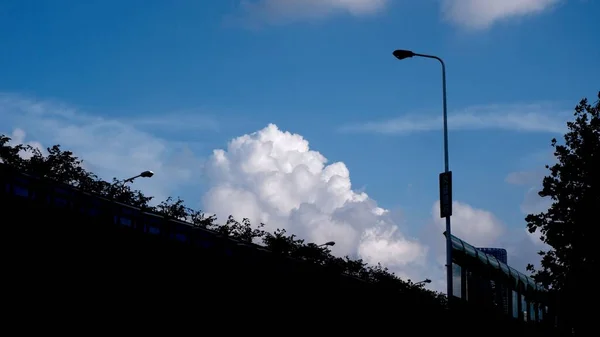 Silhouette Street Lamp Plants Bright Cloudy Sky — Stock Photo, Image