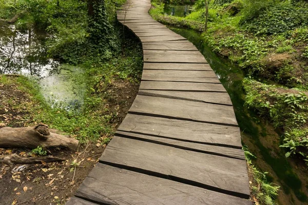 Empty Boardwalk Surrounded Green Vegetation — Stockfoto