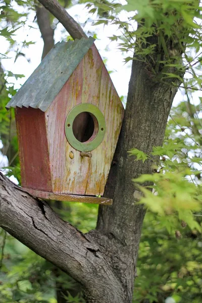 木にぶら下がっている鳥の家の垂直ショット — ストック写真
