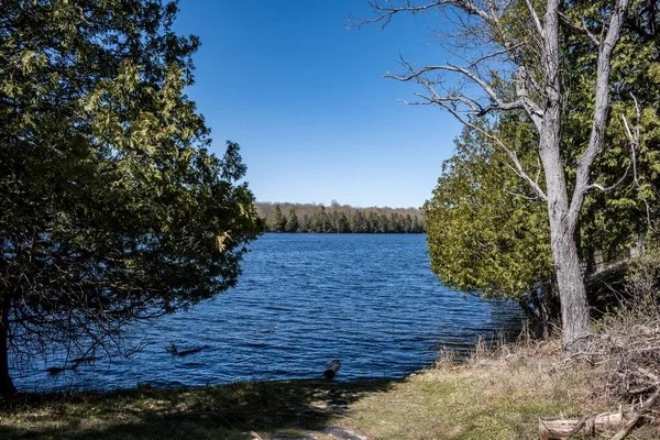 Vue Panoramique Lac Dans Une Forêt Entourée Par Une Nature — Photo