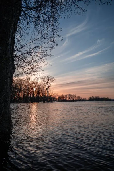 Una Toma Vertical Una Puesta Sol Verano Lago Rodeado Árboles — Foto de Stock