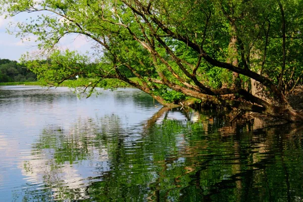 Una Bella Foto Lago Che Riflette Ambiente — Foto Stock