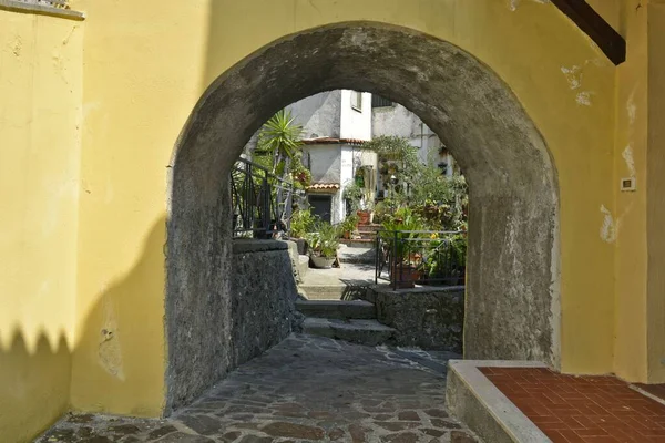 イタリアのカラブリア地方の古い村スカレアの狭い通り — ストック写真