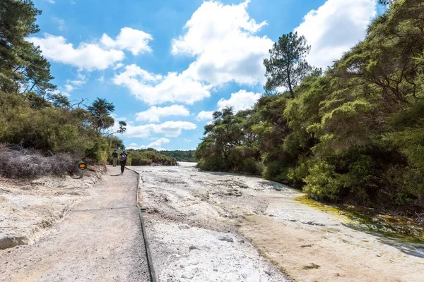 Beautiful Landscape Rocks Forests Waiotapu North Island New Zealand — Stock Photo, Image