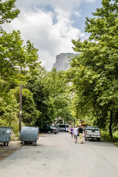 Vertikální Pohled Ulici Obklopenou Stromy Kaňon Obzoru — Stock fotografie