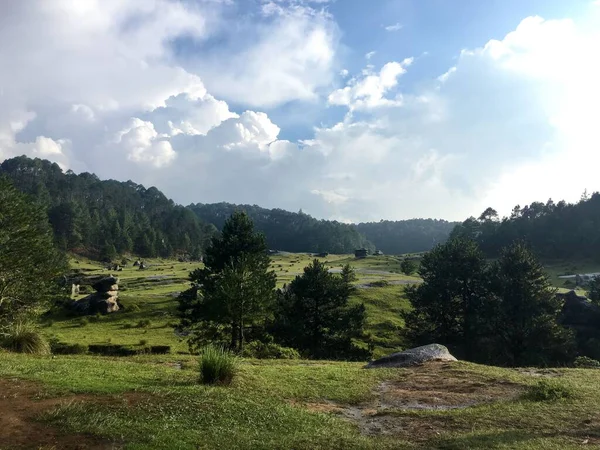 Живописный Вид Лес Пышной Зеленой Природой Фоне Облачного Неба — стоковое фото