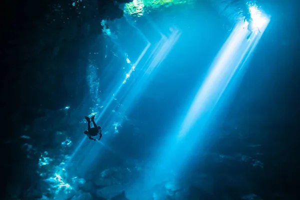 Beautiful Nature Ocean Underwater — Stock Photo, Image