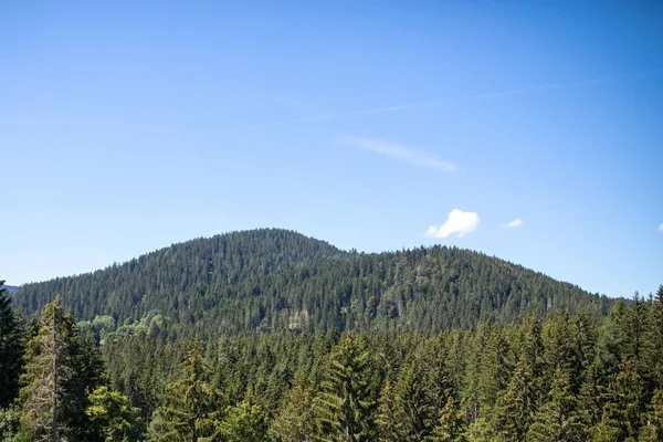 青い空の下で黒い森の山の木 — ストック写真