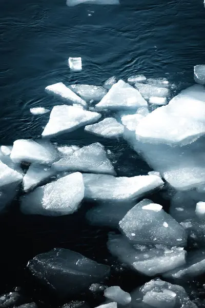 Плаваючий Льодовик Плаває Поверхні Води — стокове фото