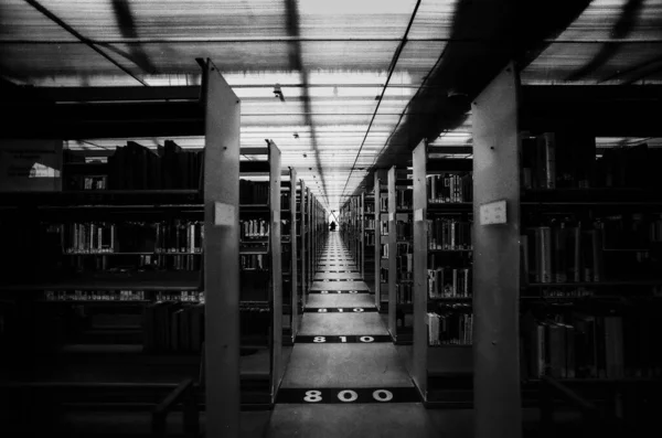 Una Toma Escala Grises Camino Entre Estanterías Una Biblioteca —  Fotos de Stock