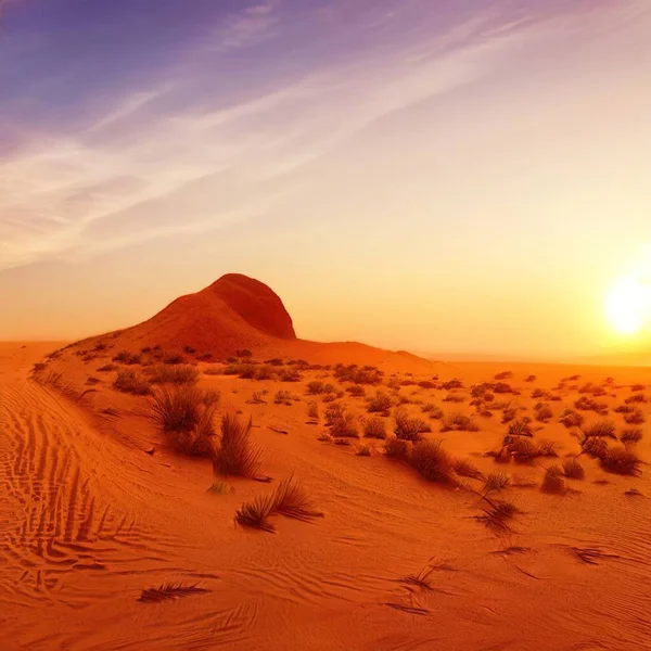 橙色夕阳西下 清澈天空下的沙丘美景 — 图库照片