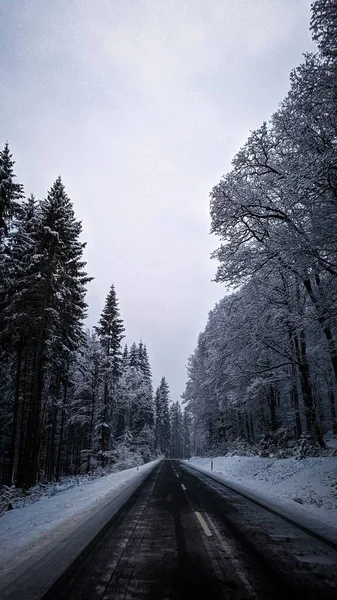 Vertikální Záběr Zamrzlé Silnice Zasněženým Lesem — Stock fotografie