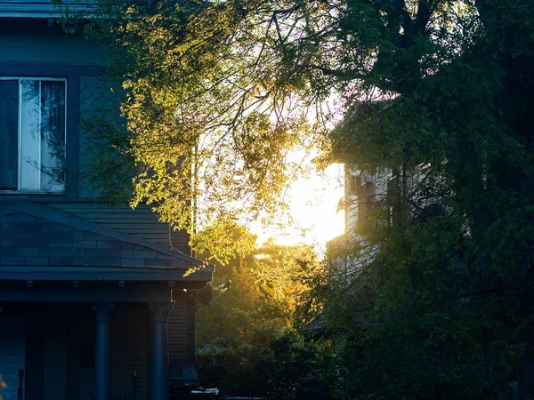 Прекрасні Ранкові Сонячні Промені Світяться Крізь Дерева Будинками Задньому Плані — стокове фото