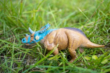 Bir Collecta marka Mercuriceratops oyuncak dinozor heykelciği yeşil çimlerde