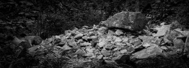 Gri tonda bir ormanda büyük kayaların güzel bir görüntüsü.