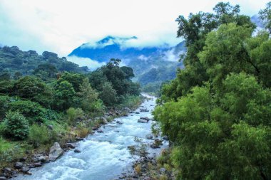 Bulutlu arka planda bir ormanda akan bir nehrin manzarası.