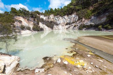 Kuzey Adası, Yeni Zelanda 'daki Waiotapu' da güzel bir kaya ve orman manzarası.