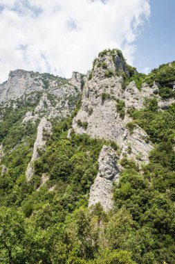 Güneşli bir günde, Olimpos Dağı 'nın doğu yamaçlarında bitki örtülü kanyonun dikey görüntüsü.